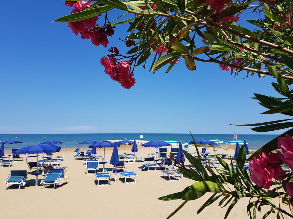 Hotel Gabbiano Beach Vieste Esterno foto