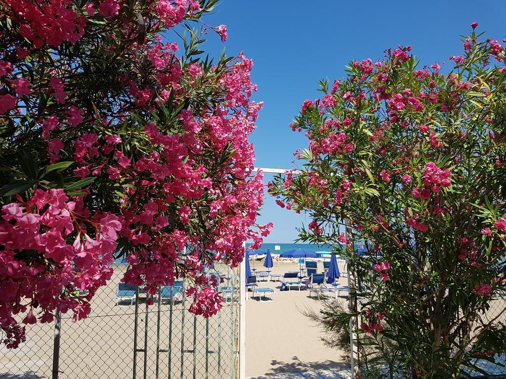Hotel Gabbiano Beach Vieste Esterno foto